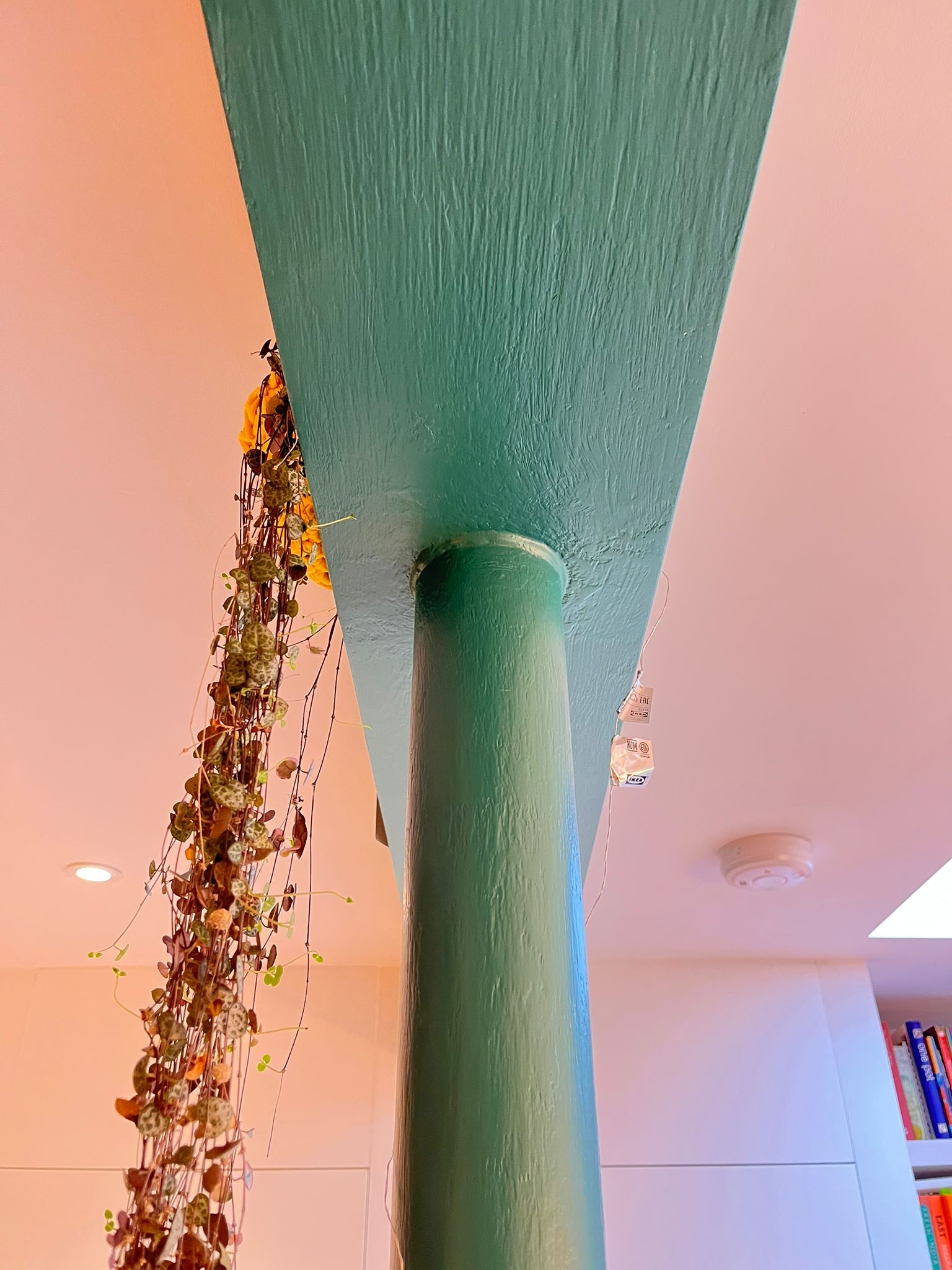 9d386337-6217-4351-a743-aa07b052e01b